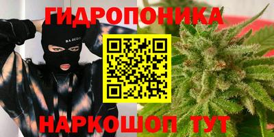 mdpv Боровичи