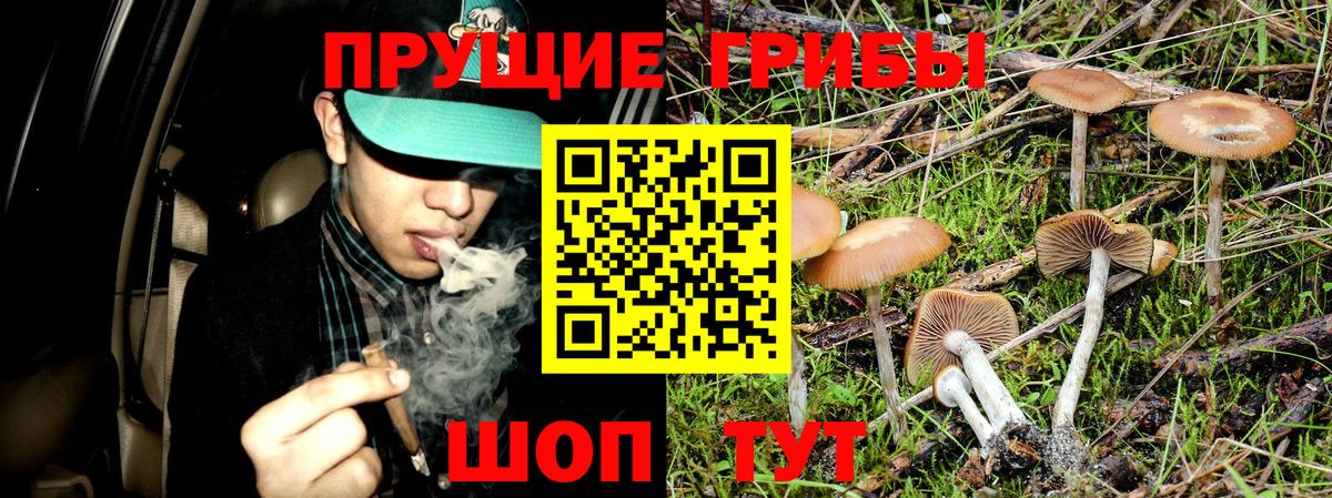 Галлюциногенные грибы мицелий Бугуруслан