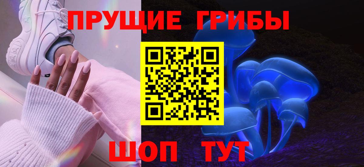 Бугуруслан  Псилоцибиновые грибы Psilocybine cubensis  Псилоцибиновые грибы Cubensis  Вход с VPN 
